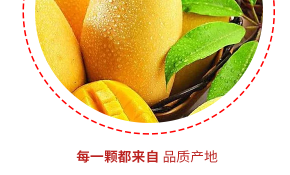 L(zhng)ꖹʳƷ޹˾-a(chn)Ʒ(c)â_06
